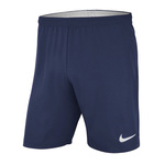 Nike Laser Woven IV Shorts AJ1245-410