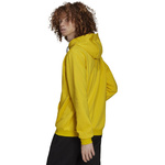 Bluza z Kapturem adidas Entrada 22 Hoody HI2140