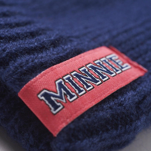 Czapka Dziecięca adidas Disney LK Beanie AB2053