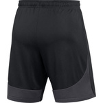 Nike Academy Pro Men's Shorts DH9236-014