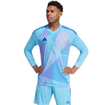 Adidas Tiro 24 Competition Goalkeeper Sweatshirt