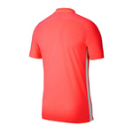 Koszulka Polo Męska Nike Academy 19 Dri-FIT Koralowa BQ1496-671