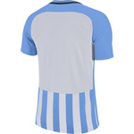 Nike Striped Division III Men's T-Shirt 894081-412