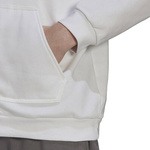 Adidas Entrada 22 Sweatshirt mit Kapuze Hoody HG6302