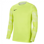 Nike Park IV Junior Kinder Torwarttrikot Hellgrün CJ6072-702