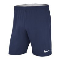 Nike Laser Woven IV Shorts AJ1245-410