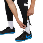 Nike DRI-FIT Academy pants CW6122-010