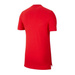 Nike Polen Polo Modern T-shirt CK9205-688