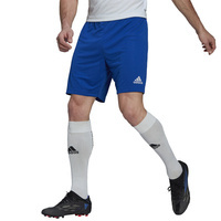 Adidas Entrada 22 Shorts HG6294