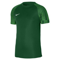 Nike Academy Kinder Fußball Trainingsshirt DH8369-302