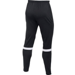 Nike DRI-FIT Academy pants CW6122-010