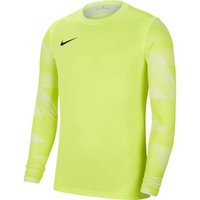 Bluza bramkarska Nike Park IV CJ6066-702