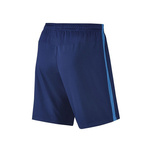 Nike Dry Men's Football Shorts 807682-455
