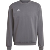 Bluza Męska adidas Entrada 22 Sweatshirt szara