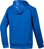 Bluza Męska z Kapturem adidas Warm M31194