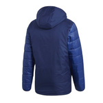 Zimowa Kurtka Męska adidas Winter Jacket CV8271 (kaptur, kieszenie na zamek)