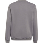 Bluza Męska adidas Entrada 22 Sweatshirt szara