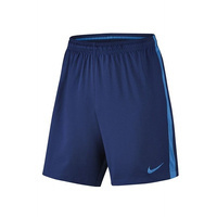Nike Dry Herren Fußballshorts 807682-45