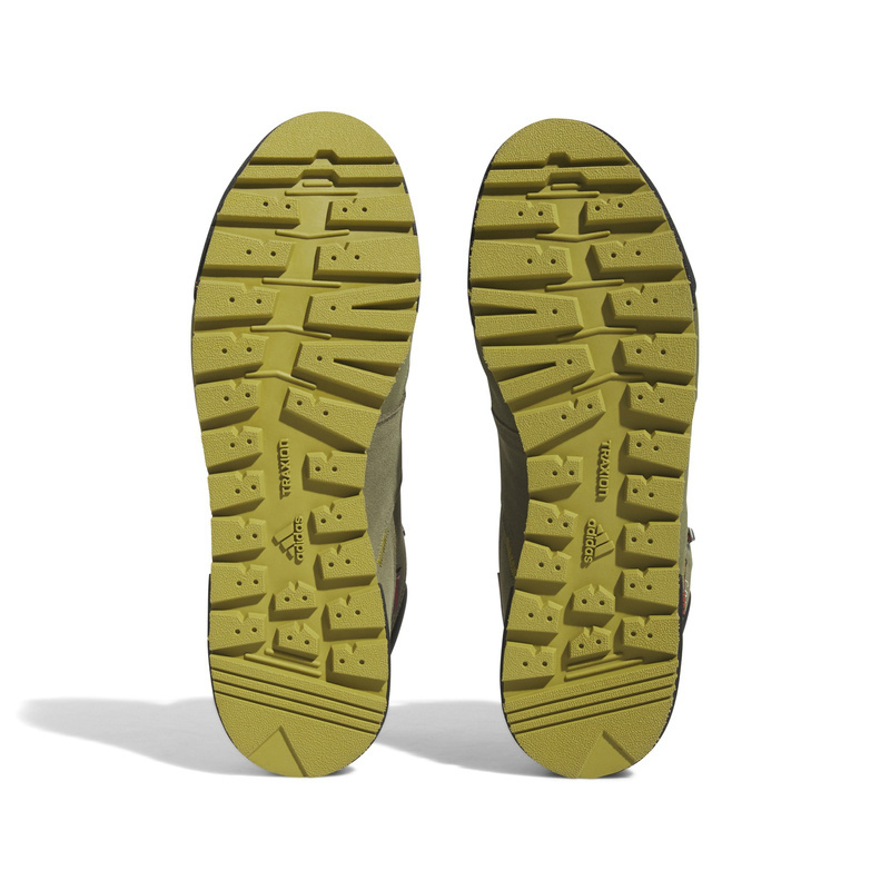 Adidas Terrex Swift R2 shoes CM7486