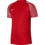 Nike Academy Herren Trikot DH8031-657