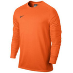 Bluza Bramkarska Nike Park Goalie II 588418-803