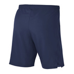 Nike Laser Woven IV Shorts AJ1245-410