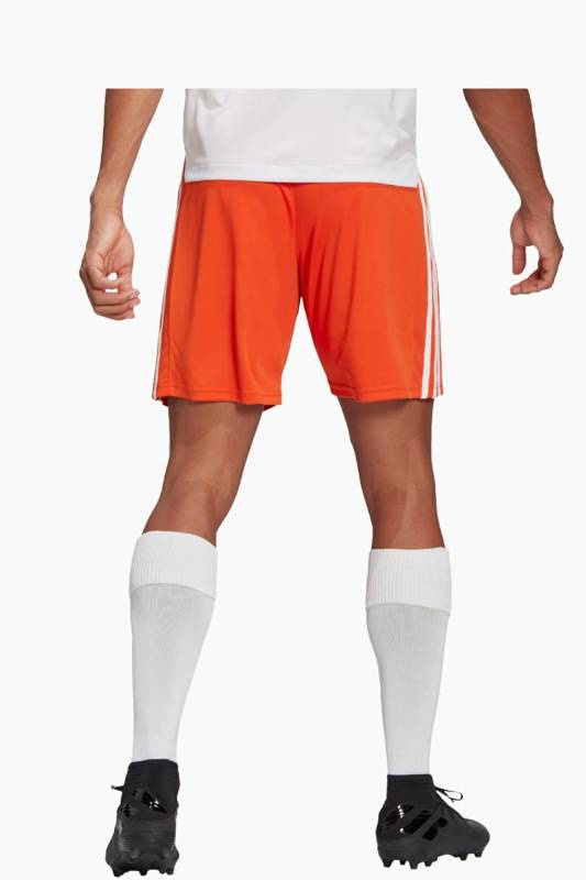 Adidas Squadra 21 shorts GN8084